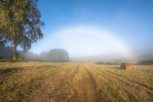 Arco-íris branco enevoado no fundo de um campo ceifado na manhã nublada de verão