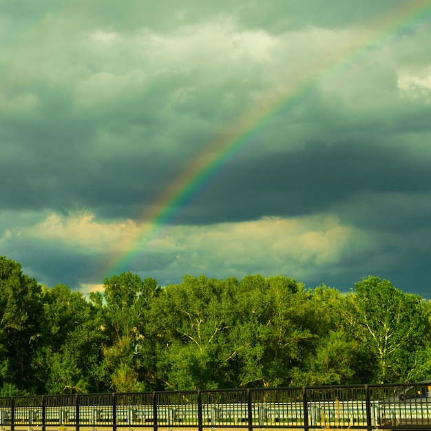 Arco iris colorido contra el telón de fondo de las nubes tormentosas sobre el bosque