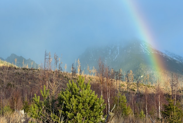 Arco-íris colorido no céu nublado cinza na montanha.