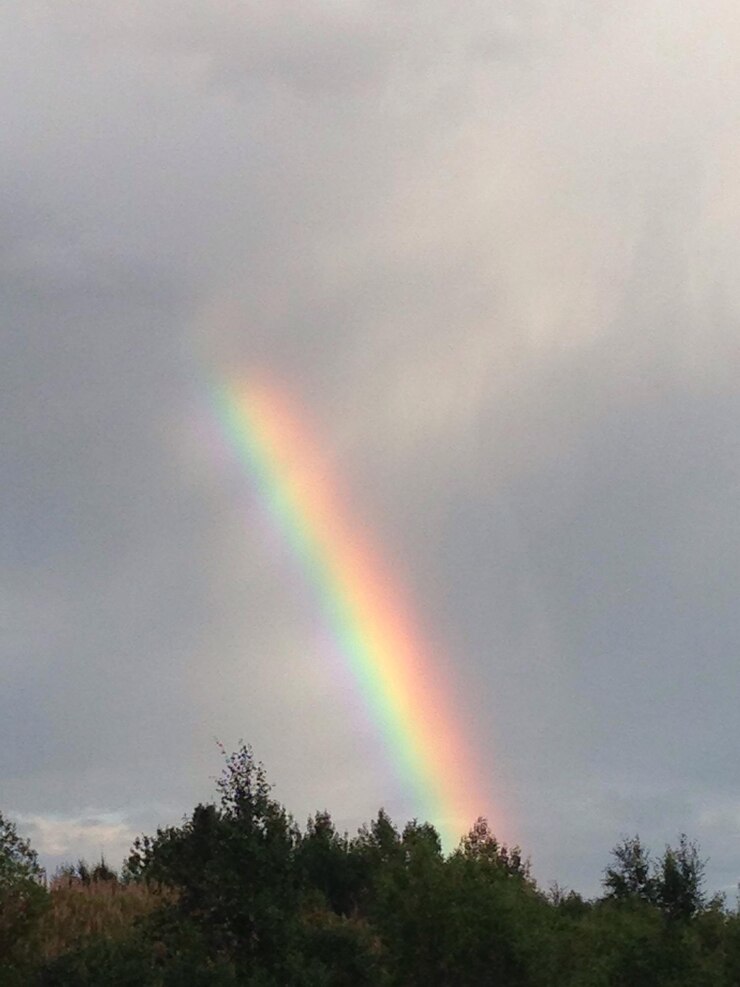 Foto arco-íris sobre o campo
