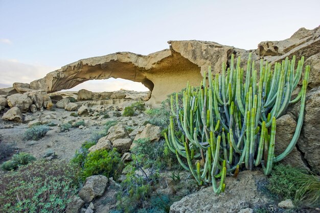 Foto arco natural en el desierto