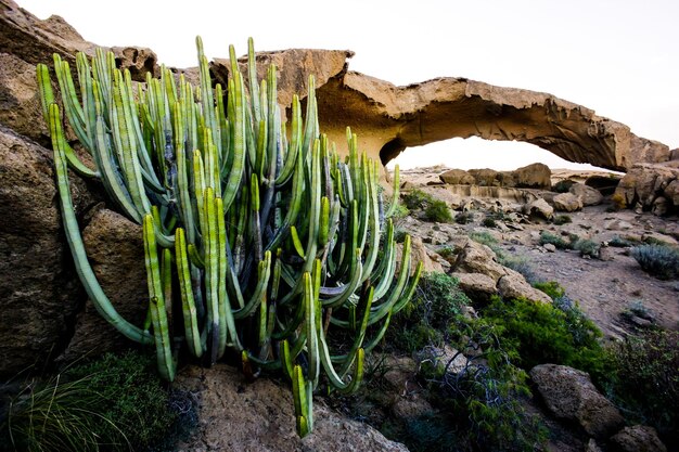 Foto arco natural de formación volcánica en el desierto tenerife islas canarias españa