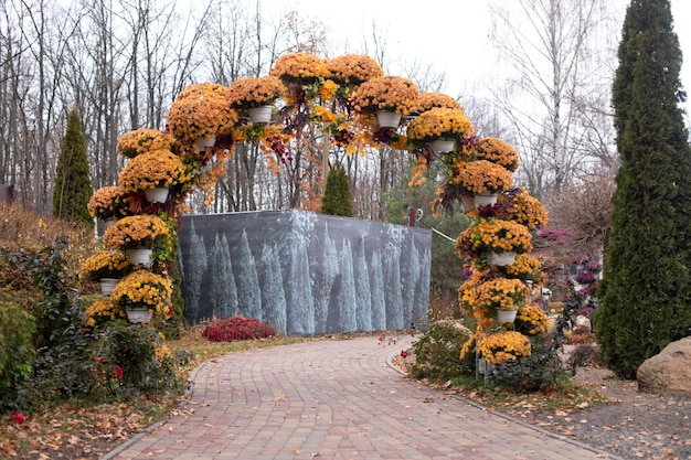 Arco en el parque de las flores Crisantemo amarillo