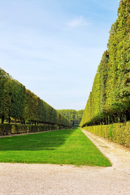 Arco verde en un jardín. Hermoso Versalles, Francia