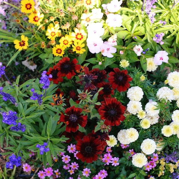 Foto un arcoíris de flores en el jardín de un castillo