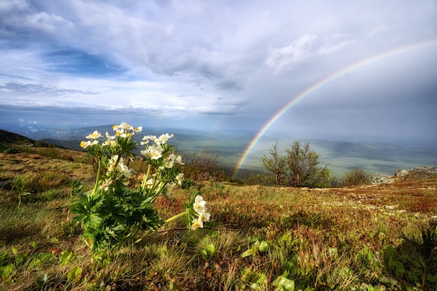 Arcoiris en las montañas. Paisaje con flores de verano.