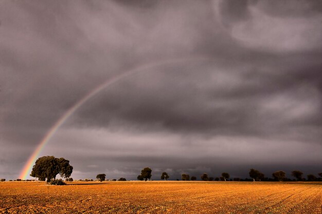 Arcoiris en el paraje natural de la dehesa