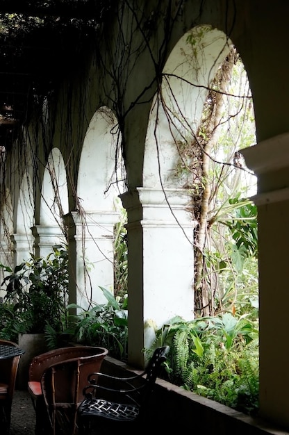 Arcos de arquitectura colonial rodeados de vegetación juegos de luces y sombras en el interior del espacio materiales naturales