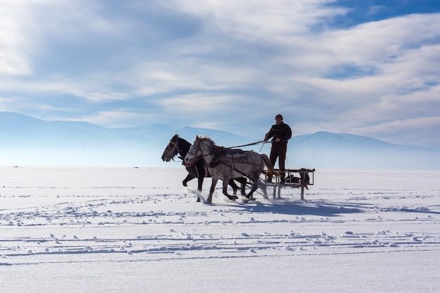 Foto ardahan, turquía - 14 de febrero de 2014: trineo tirado por un caballo en el lago frozen cildir. diversión tradicional de invierno turco.