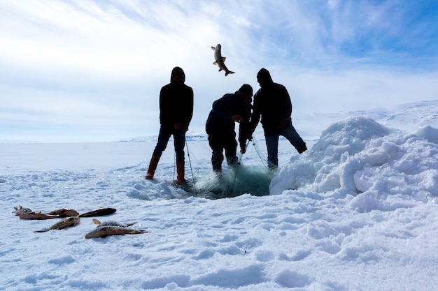 Ardahan, Turquía - 15 de febrero de 2014: Pesca de invierno en el lago cildir congelado en la provincia de Ardahan.