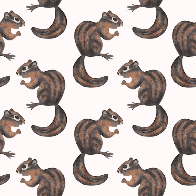 Ardilla de patrones sin fisuras Ilustración acuarela en estilo de dibujos animados