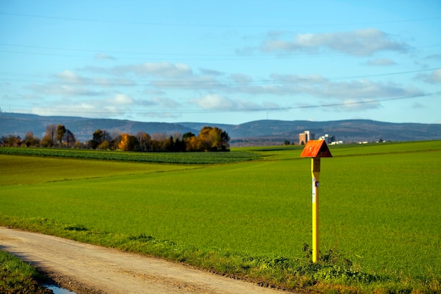 Foto Área agrícola verde campo na visão da natureza