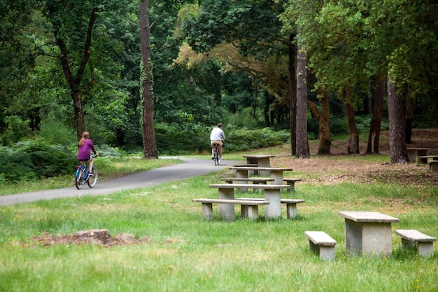 Área de recreação no parque de verão Mesas e bancos de pedra no gramado Pessoas andando de bicicleta ao ar livre