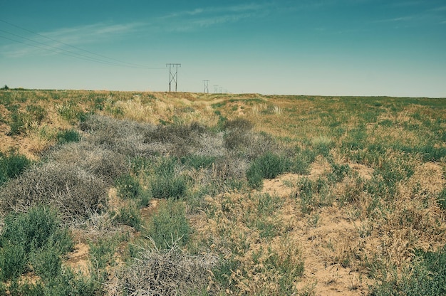 Área deserta da estepe