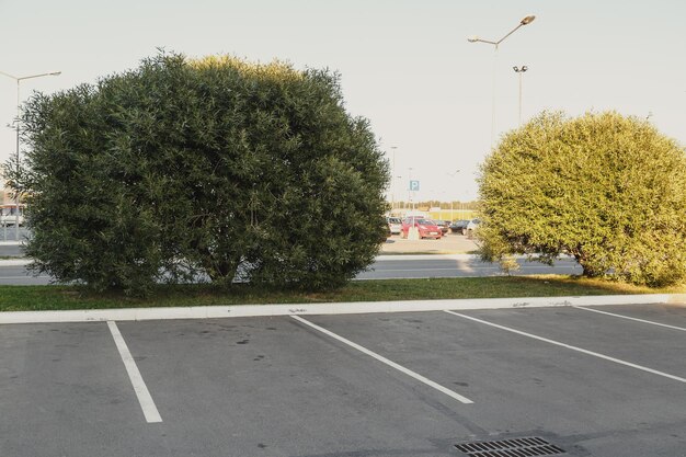 Foto Área de estacionamiento vacía en el centro comercial