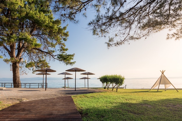 Área recreativa a orillas del mar con plataforma de madera, césped verde, sombrillas a la sombra de pinos