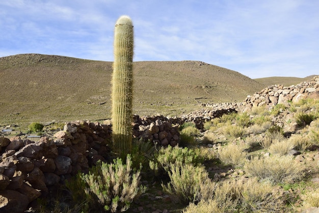 Área residencial com um hotel construído de sal nas rochas no meio do salar de uyuni bolívia