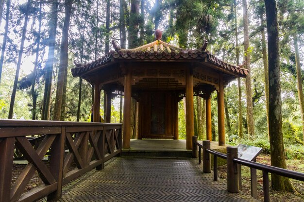 Foto Área de senderismo de madera pavimentada dentro de la área forestal nacional de alishan rodeada de selva verde en taiwán
