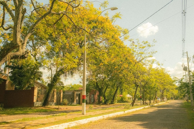 Foto aregua paraguai