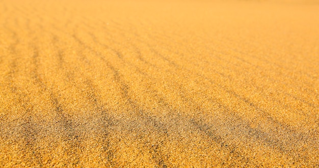 Areia amarela ondulada texturizada em todo o quadro