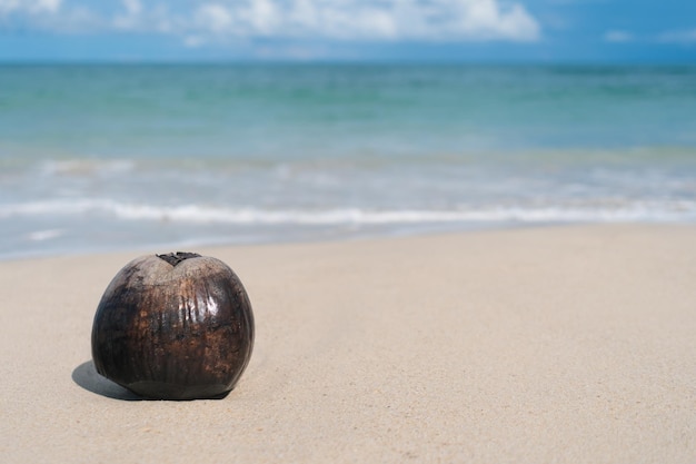 Areia branca e coco da praia limpa da natureza tropical no verão com céu azul claro do sol e bokeh