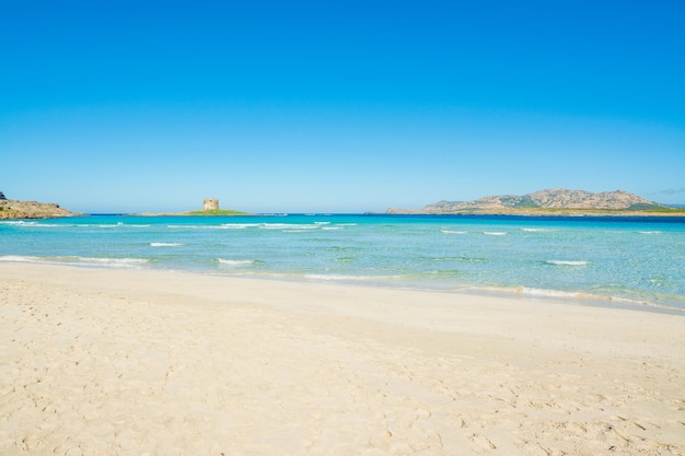 Foto areia branca na praia de la pelosa, na sardenha