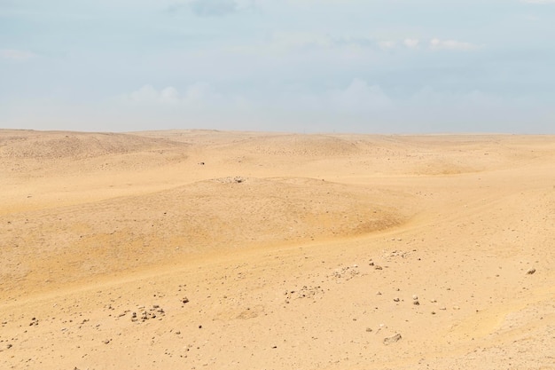 Areia da paisagem das dunas do deserto no deserto Um deserto árido arenoso