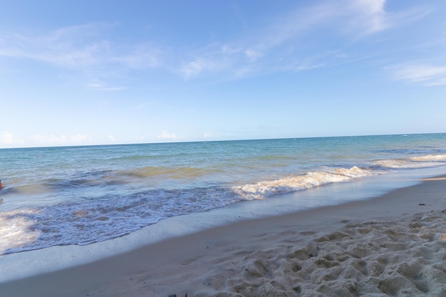 Areia da praia coqueiros algas ondas do mar