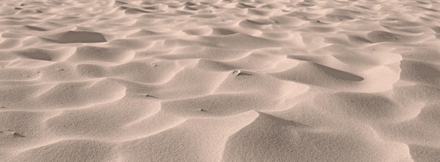 Areia da praia das dunas do deserto ao longo da costa na natureza com copyspace em um dia ensolarado close de uma paisagem cênica ao ar livre com textura de superfície áspera e ondulada um lugar calmo para se sentir zen e relaxar