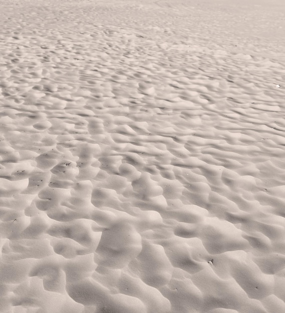 Areia da praia das dunas do deserto com ondulações ao longo da costa na natureza em um dia ensolarado close de uma paisagem cênica à beira-mar com fundo copyspace ao ar livre um lugar calmo para se sentir zen