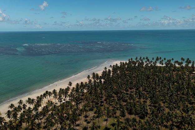 Areia da praia dos coqueiros e mar azul no dia ensolarado