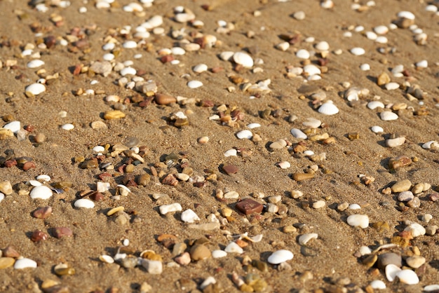 Areia da praia textura e fundo