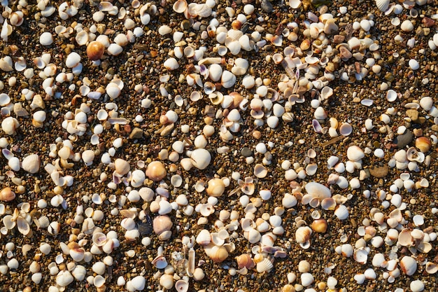 Areia da praia textura e fundo