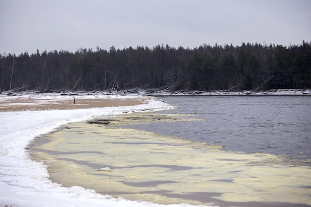 Areia do mar com neve branca, céu cinza, água e árvores verdes escuras