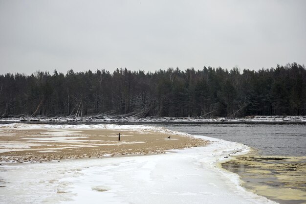 Areia do mar com neve branca, céu cinza, água e árvores verdes escuras