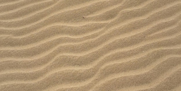 Areia no deserto com ondulações na areia