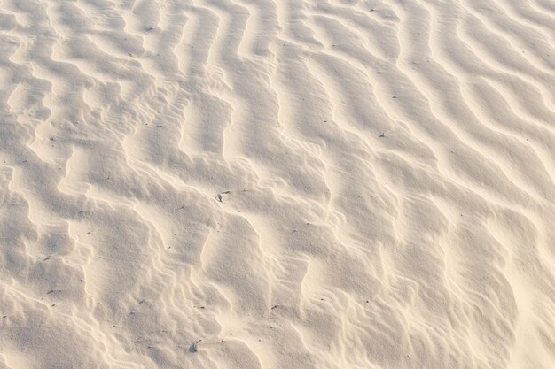 Areia textura bege em uma textura de dia ensolarado