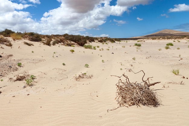 Areias e paisagem vulcânica ao norte de Fuerteventura