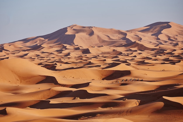 Areias sem fim do deserto do Saara. Belo pôr do sol sobre as dunas de areia do deserto do Saara, Marrocos, África