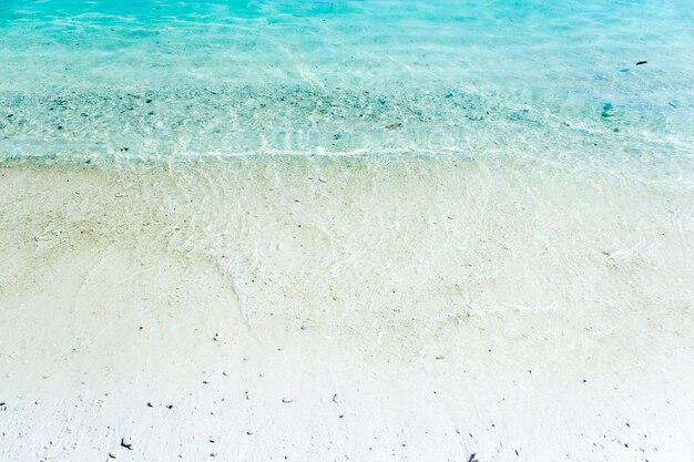 arena blanca con olas verdes azules en la playa