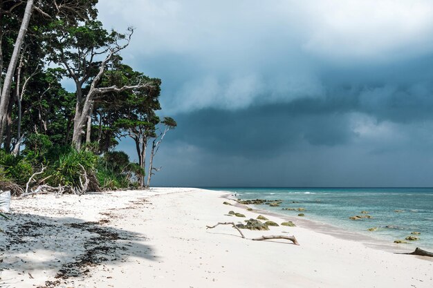 Foto arena blanca pura en una playa exótica