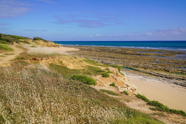 Arena de la costa del mar francés con la soleada playa atlántica en el día de verano