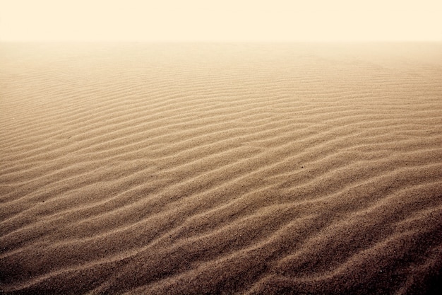 Foto arena en el desierto