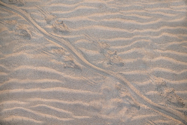 Arena fina de playa en el fondo del patrón de sol de verano con huella de cocodrilo