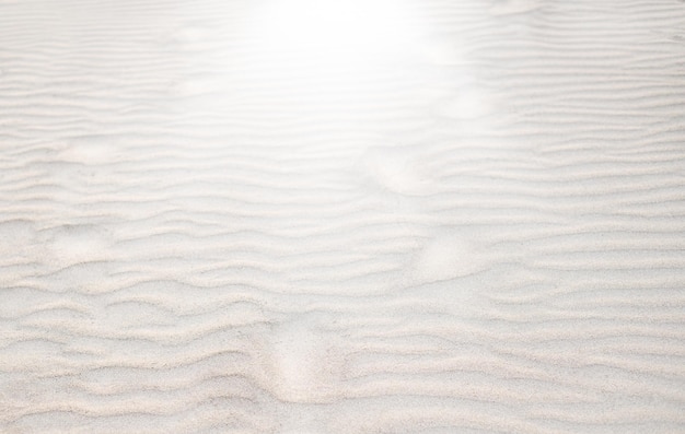 Arena fina de playa en el fondo del patrón de sol de verano