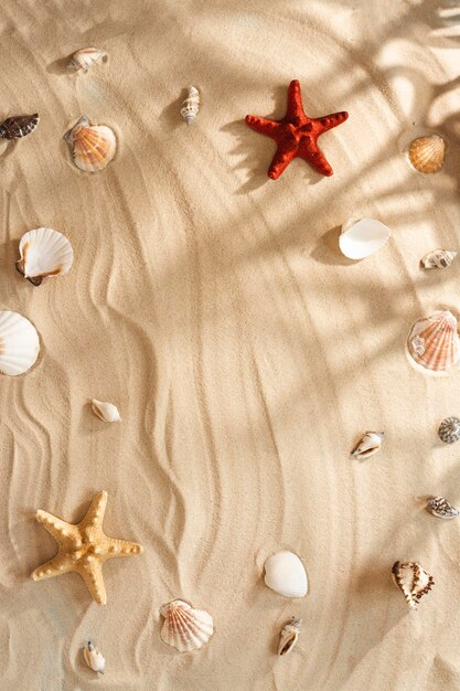 Arena de mar con estrellas de mar y conchas.