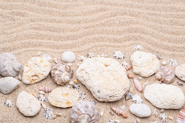 Foto arena de mar con piedras y conchas marinas concepto de verano