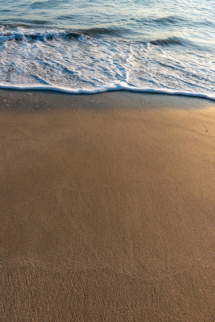 Arena mojada de la playa y marea del océano