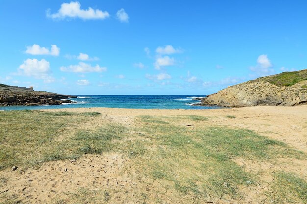 Arena y plantas en la costa de Argentiera Cerdeña