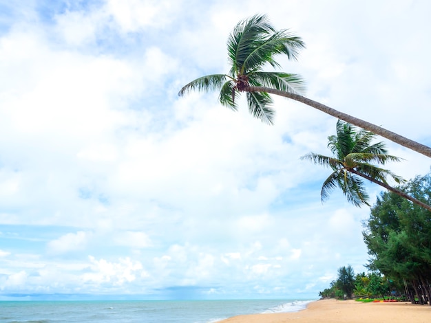 Arena de playa tropical con palmeras de coco y mar